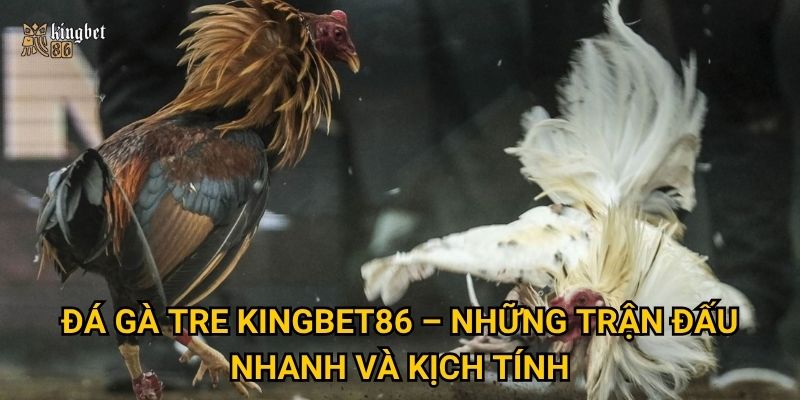Đá gà tre Kingbet86 – Có gì thú vị hơn so với đá gà nòi? 2 Đá gà tre Kingbet86 – Những trận đấu nhanh và kịch tính