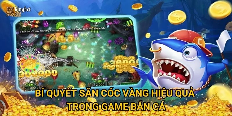 Bắn cá Golden Toad Kingbet86 có thực sự dễ trúng thưởng khủng? 3 Bí quyết săn cóc vàng hiệu quả trong game bắn cá